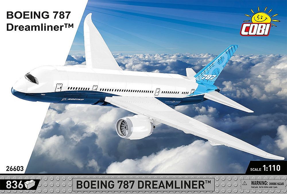 Boeing 787 Dreamliner - uszkodzone opakowanie - fot. 4