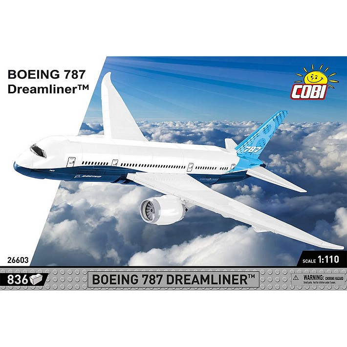 Boeing 787 Dreamliner - uszkodzone opakowanie - fot. 4