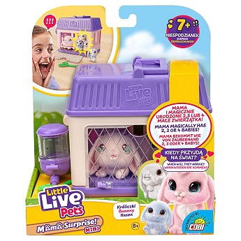LLP Mama Suprise! Mini królik