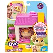 LLP Mama Surpise! Mini chomik