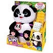 LLP Moja Panda ChuChu