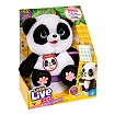 Moja Panda ChuChu - uszkodzone opakowanie